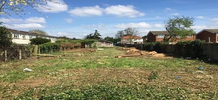 site image